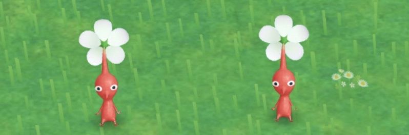 manatee_sugi's profile banner image