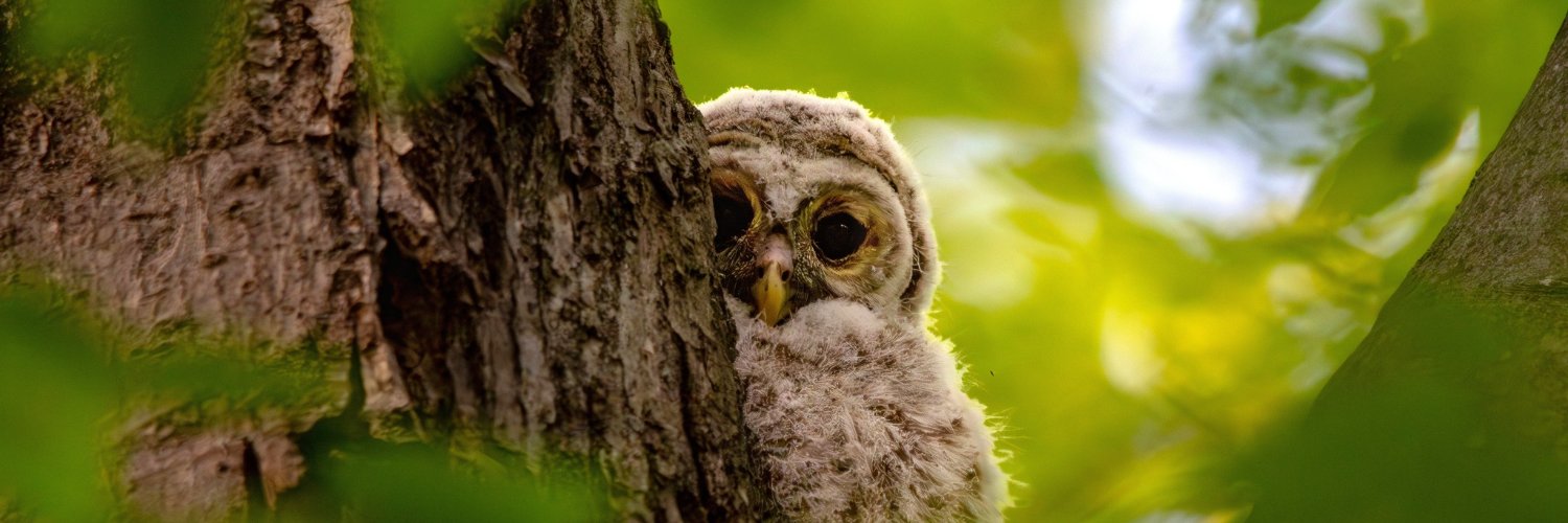 NJAudubon's profile banner image