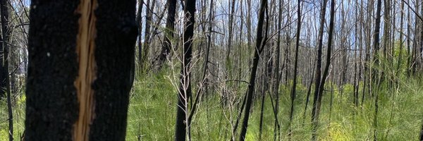 hardycoding Profile Banner