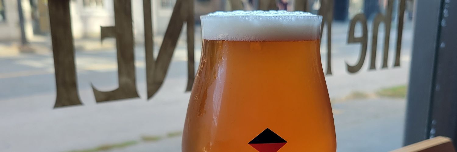 @themagnetvan banner