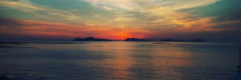 VirginiaDamaso's profile banner image