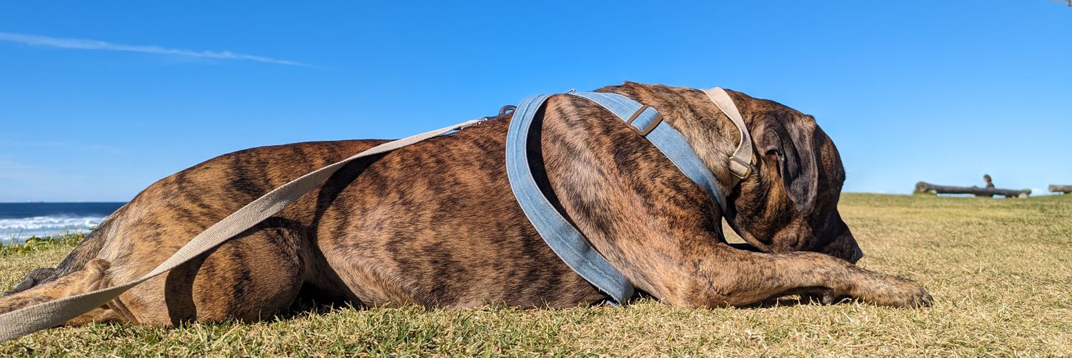 Michael Wright banner
