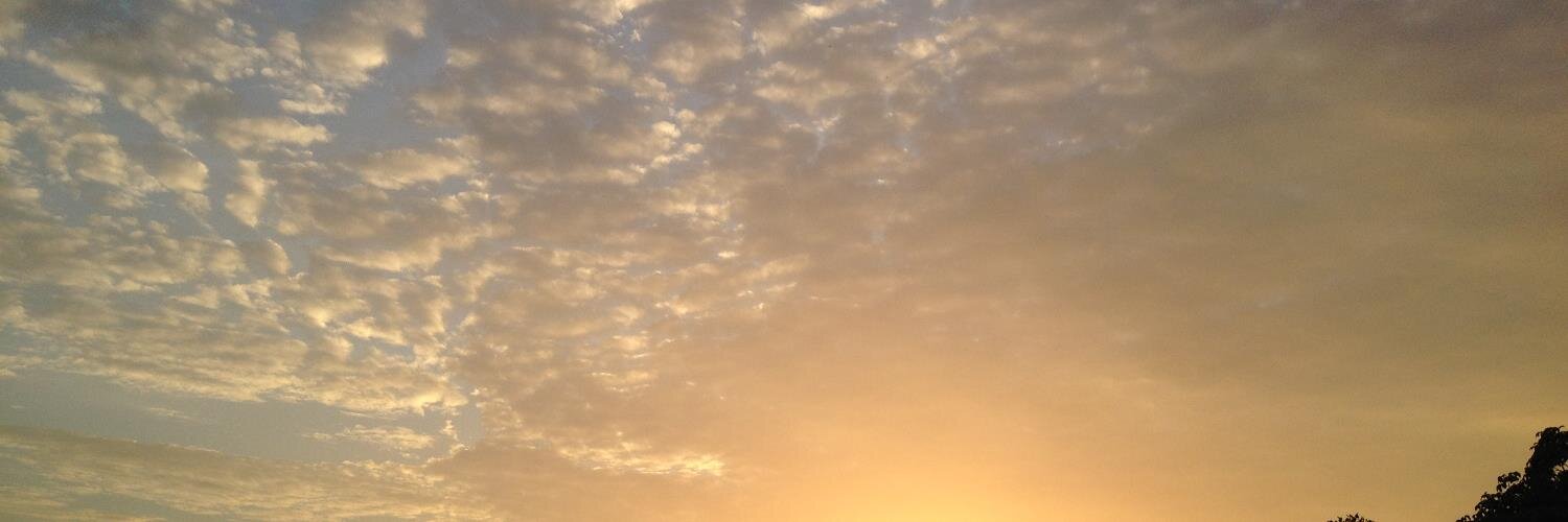 avmt64's profile banner image