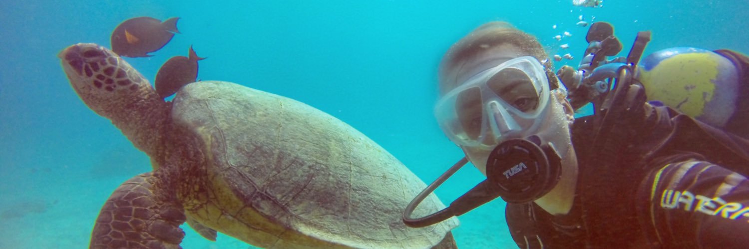 Sydney Striowski banner