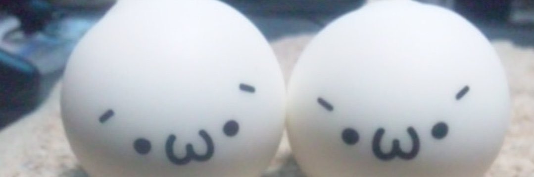 MAJE_CAPILS's profile banner image