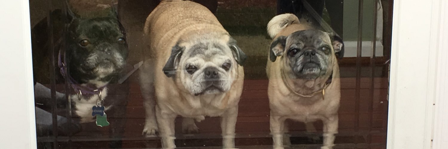 Deana Munchow banner