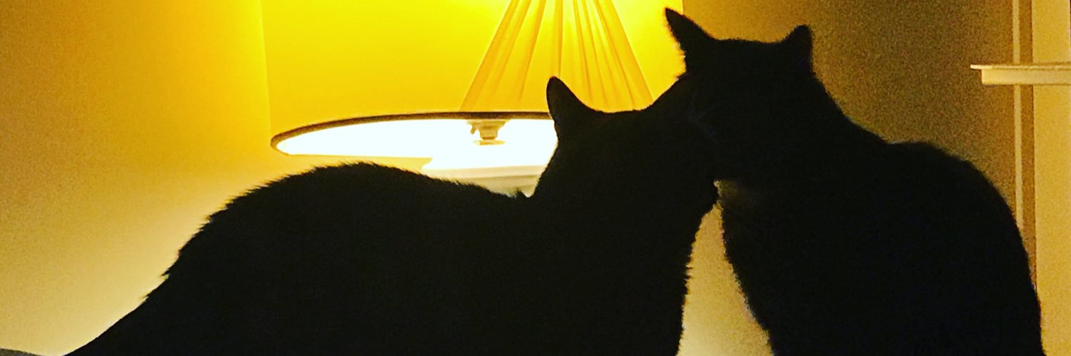 FedeDeZottis's profile banner image