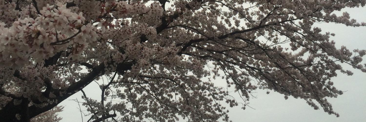 reotter's profile banner image