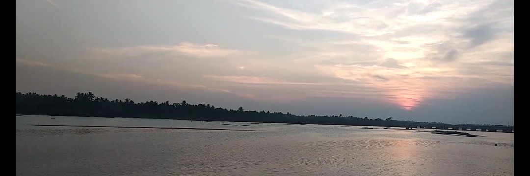 vickieparamesh's profile banner image
