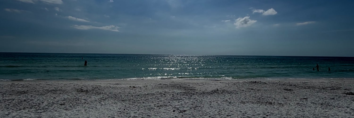 racoleal's profile banner image
