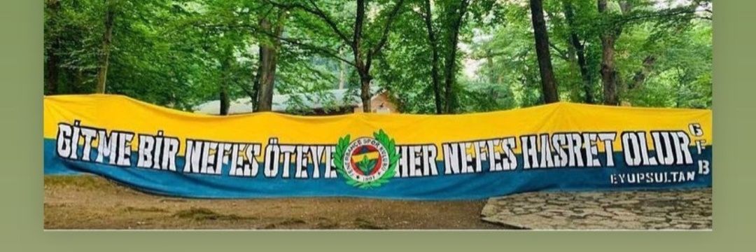 omer_sevinc's profile banner image