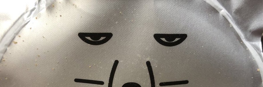 絵を投げる人 banner