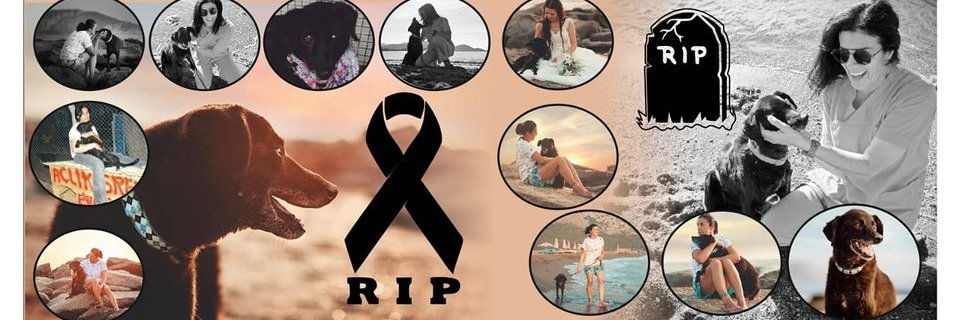 haydos_org's profile banner image