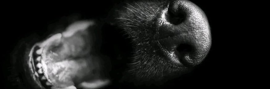 martimilich's profile banner image