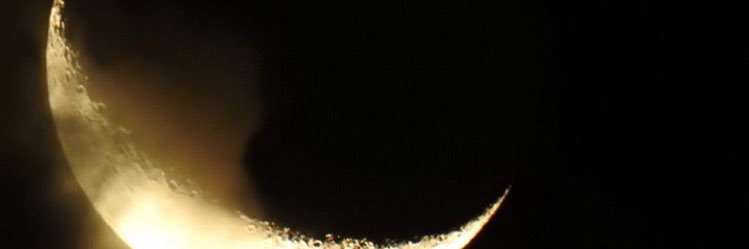 corianderhoe's profile banner image