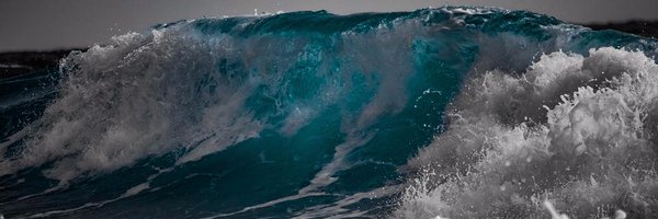MAREscience Profile Banner