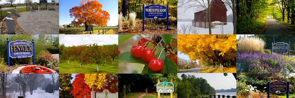 myPelham Profile Banner