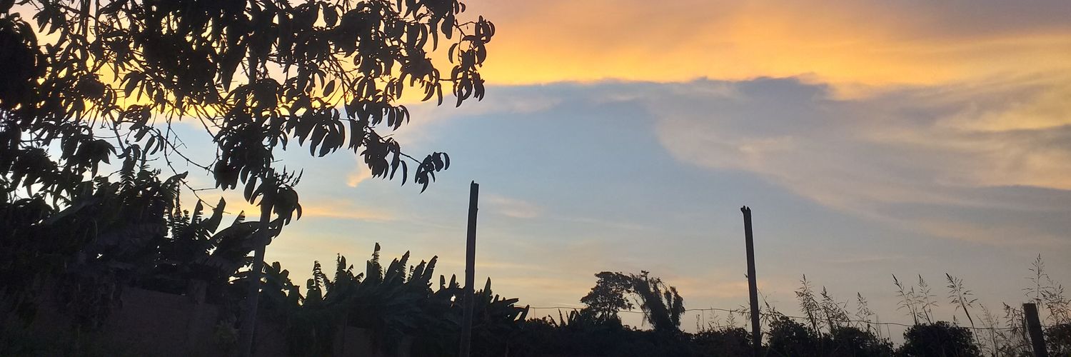 LourdesRoca's profile banner image