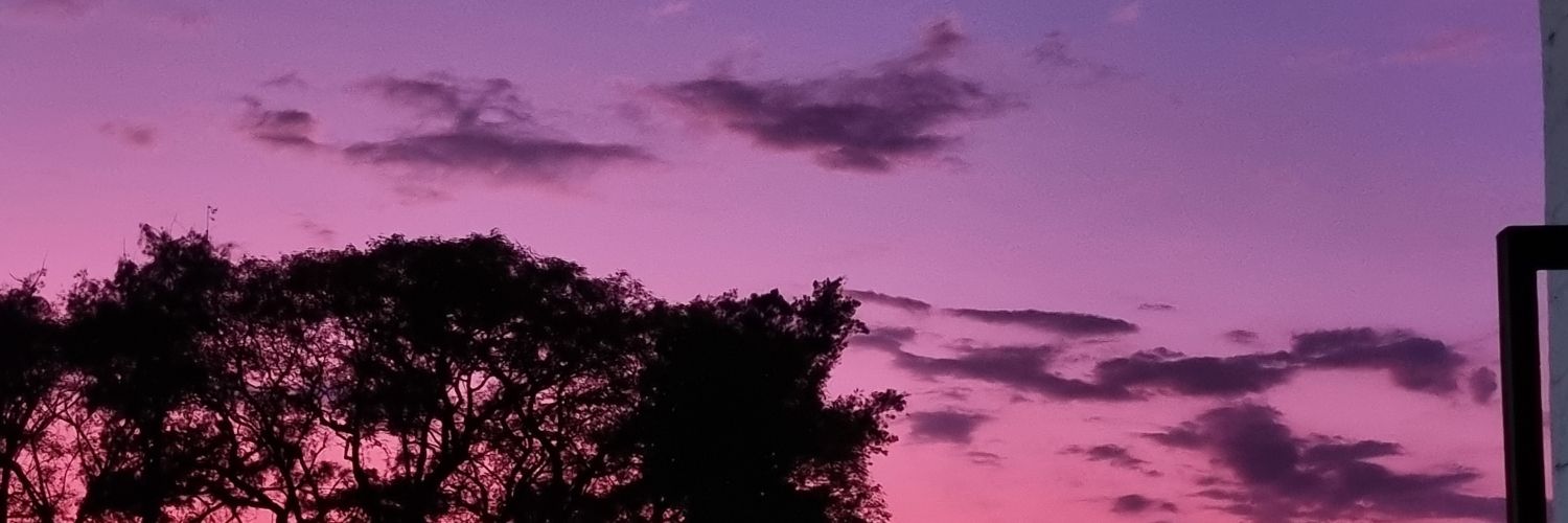 CamiiACMD's profile banner image