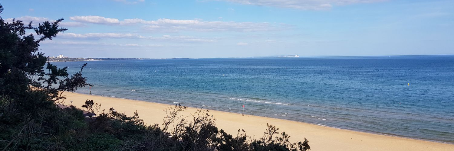 Seaview ward (AAU) banner