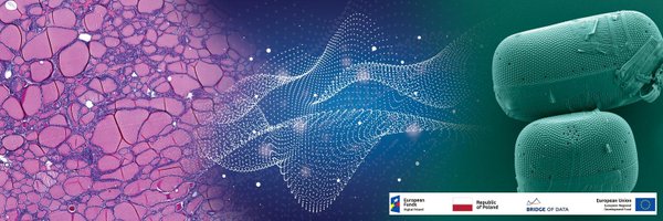 BridgeofData Profile Banner