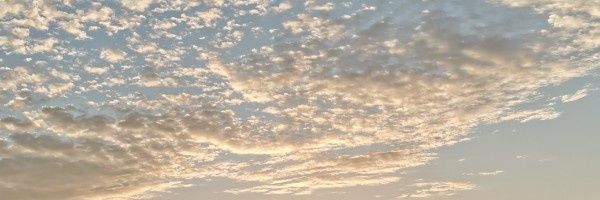 墨 banner