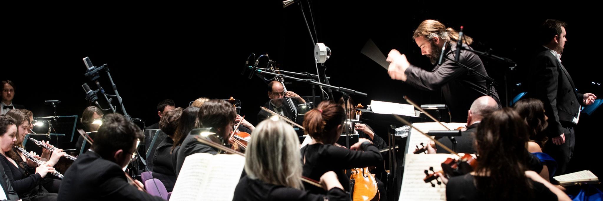 Cork Opera House Concert Orchestra banner