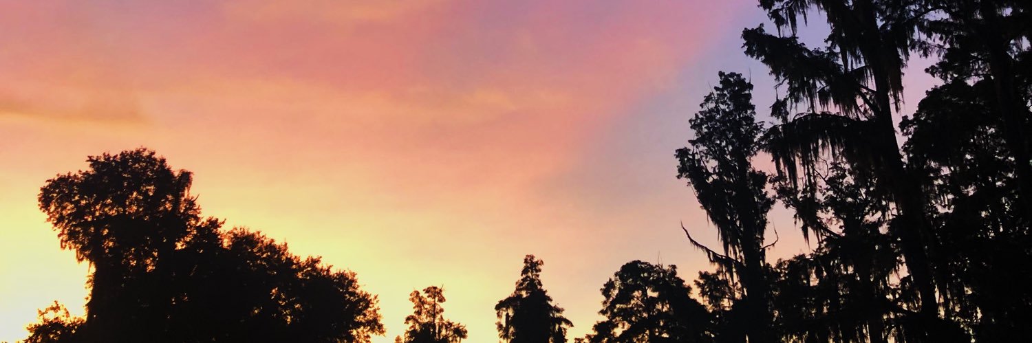 morganbmoon's profile banner image