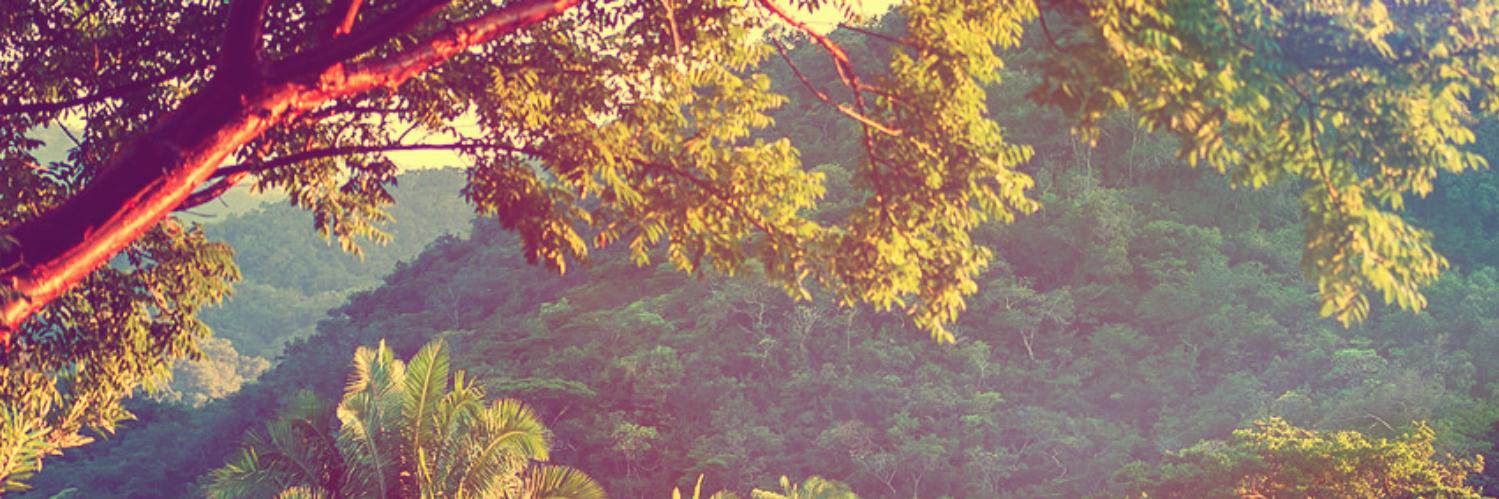 julienfruchier's profile banner image