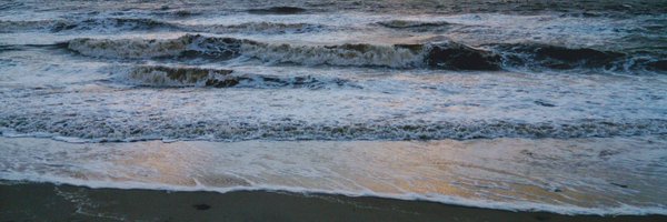 _anteale Profile Banner