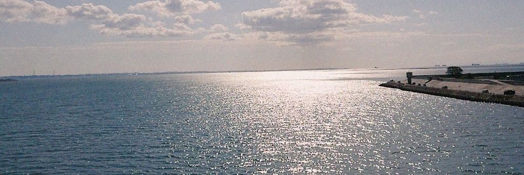 amappoid's profile banner image