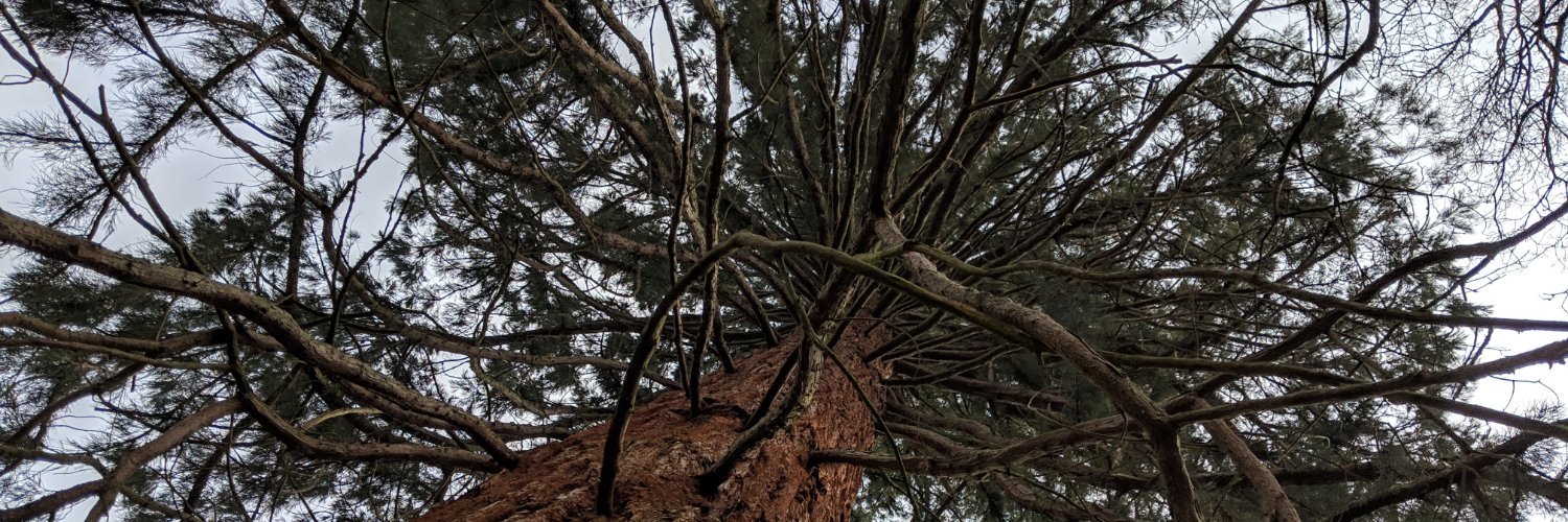 James Cockett banner