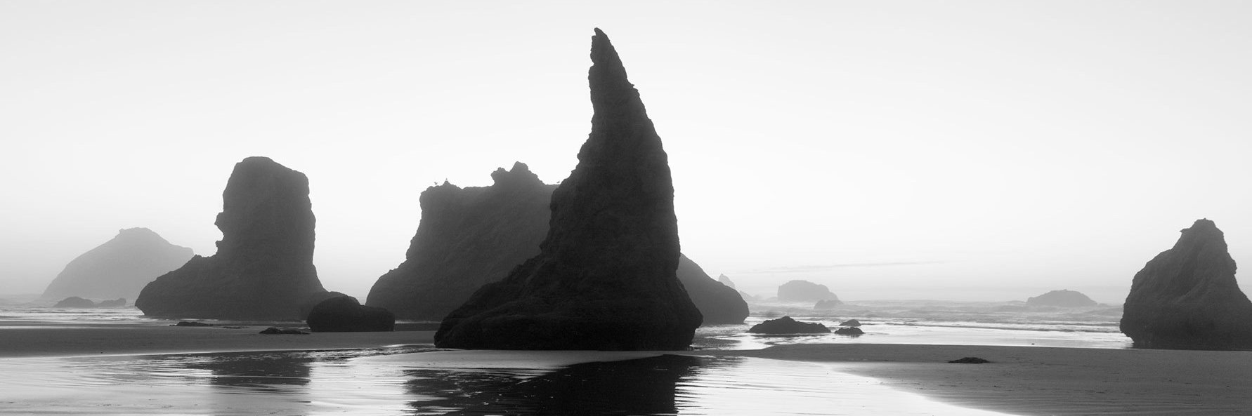 Elizabeth Han, MD + MASc banner