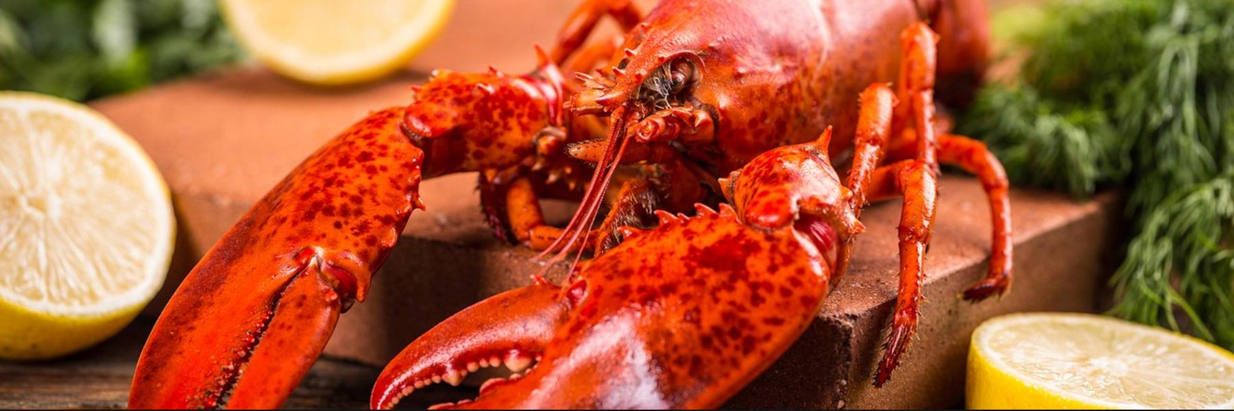 seafoodonlineca's profile banner image