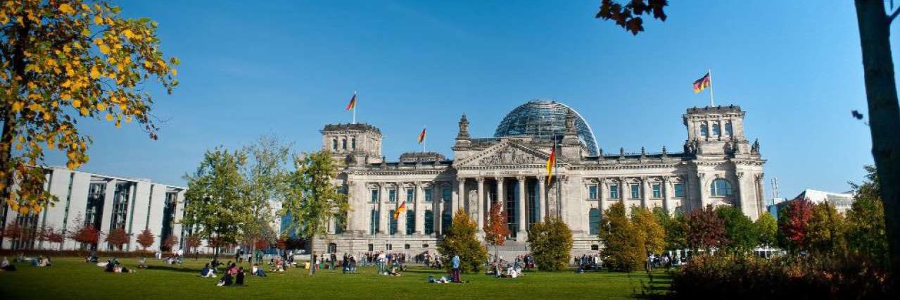 Albert Stegemann banner