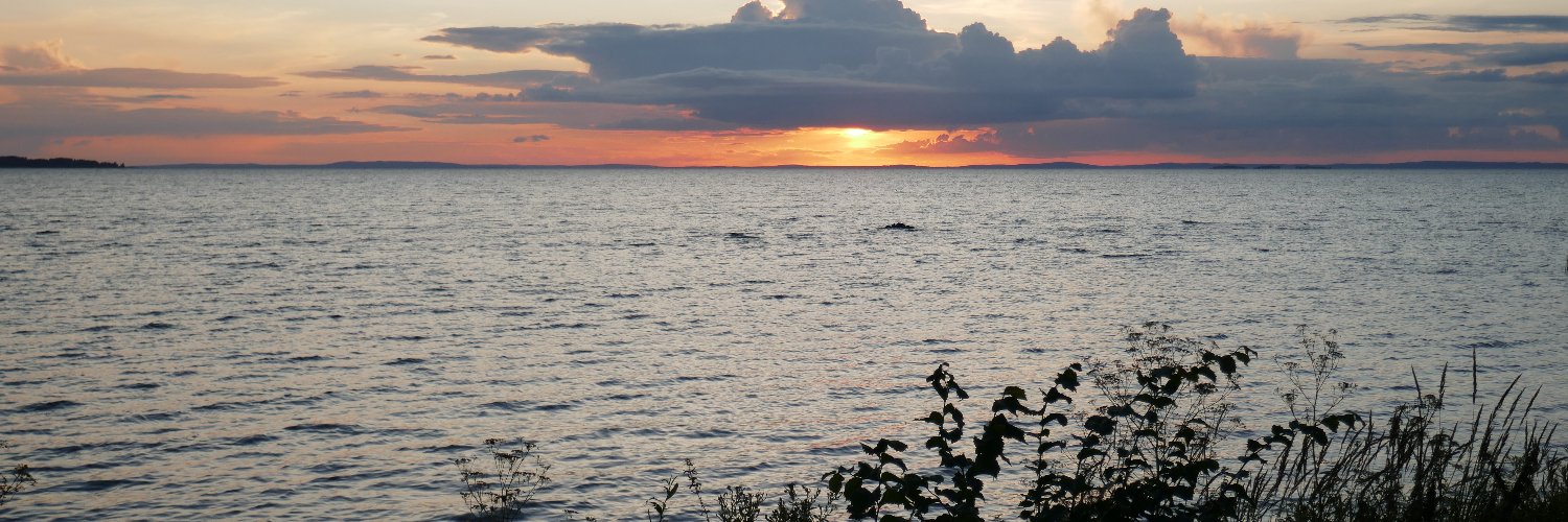 Dietus 🇬🇧 🇪🇺 🇩🇪 🇸🇪 🇨🇦 🇩🇰 banner