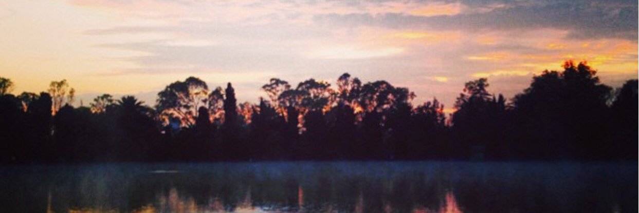ferromob's profile banner image