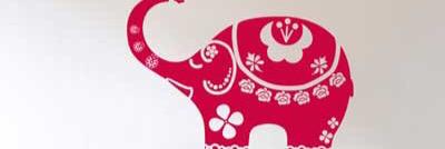 Paula ҉'s banner