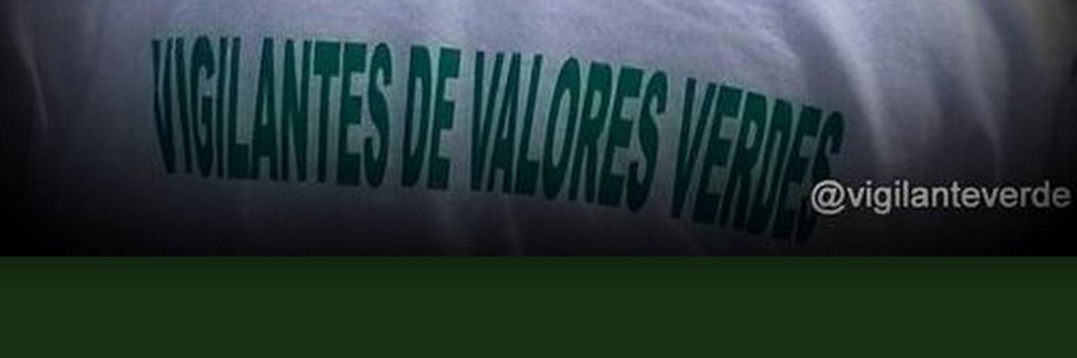 vigilanteverde's profile banner image