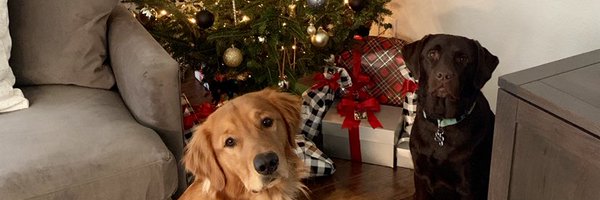 GeoffHuntley Profile Banner