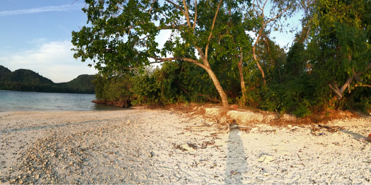 bobbyananta's profile banner image