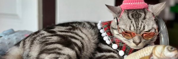 CwrNew Profile Banner