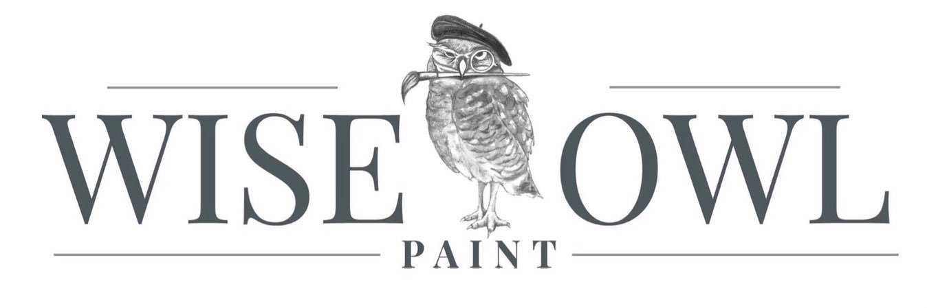Wise Owl Paint banner