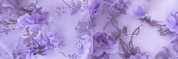 honeybee ☽̶☾ ⁵ ¹³ ⁹ 🍉 banner