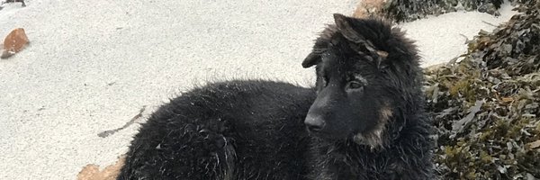 howyis Profile Banner