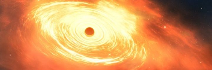 ElRaroAl's profile banner image