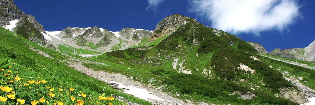 ぶりんがー＠旅人 banner