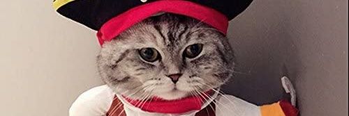 AH_redAI's profile banner image