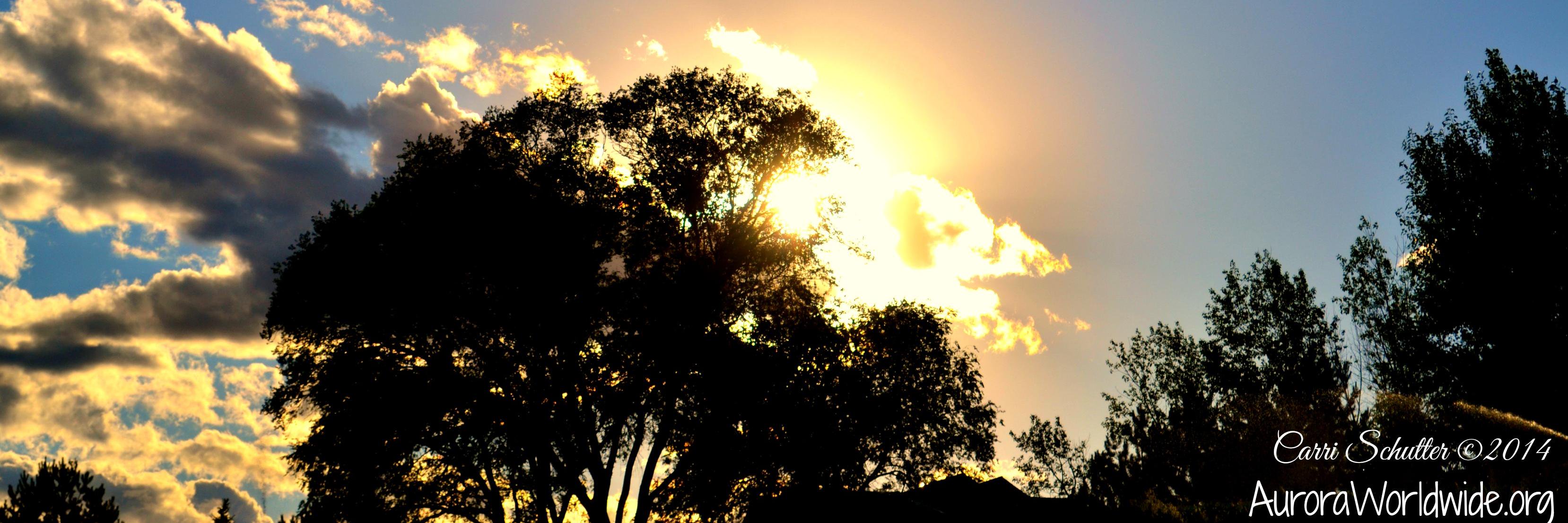 Carri_Schutter's profile banner image