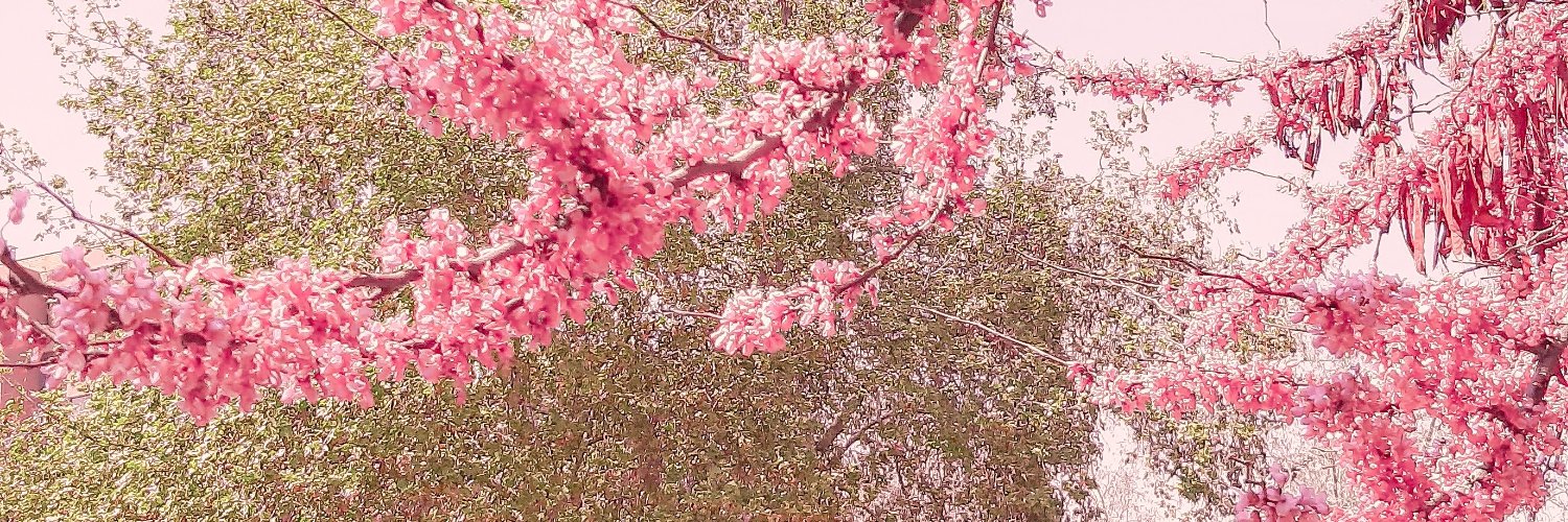 peachn_mint's profile banner image